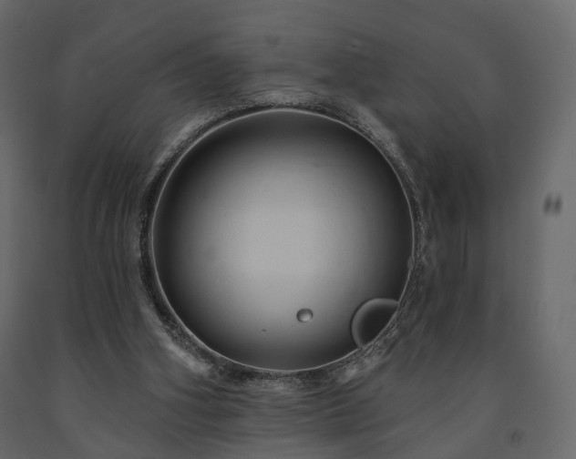 X0000091640106200708231208