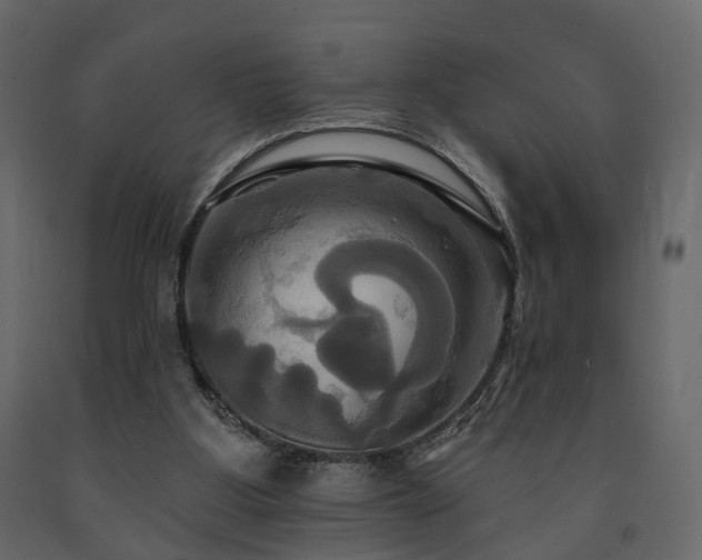X0000091640107200708231208
