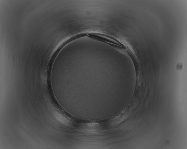 X0000091640108200708231208