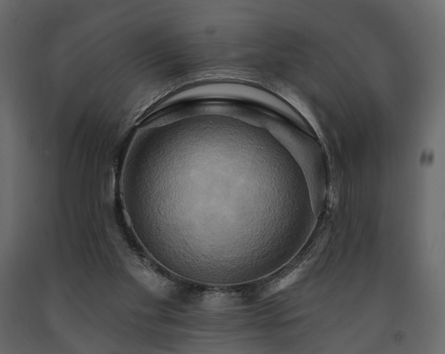 X0000091640109200708231208