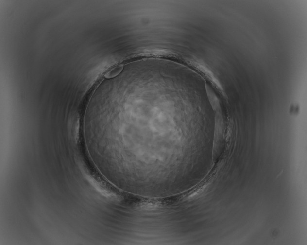 X0000091640110200708231208
