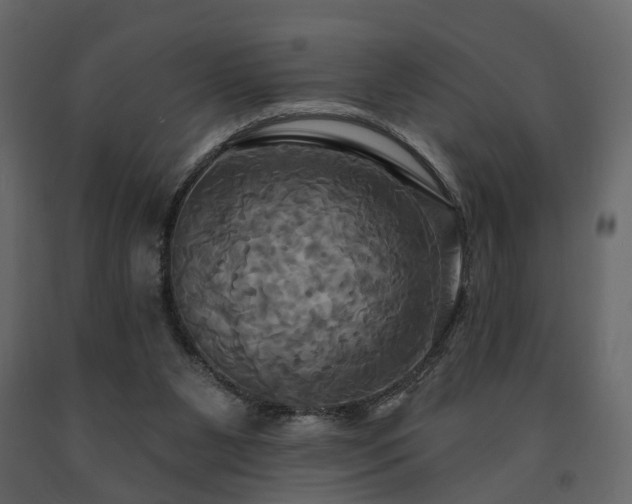 X0000091640111200708231208
