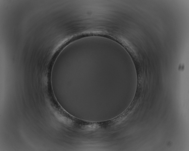 X0000091640112200708231208