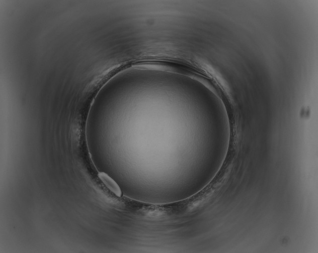 X0000091640113200708231208