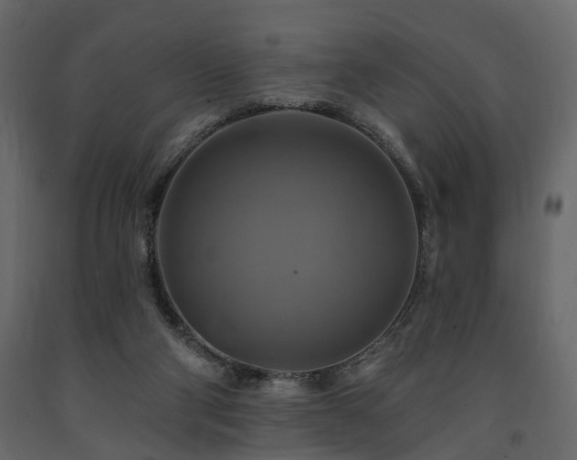 X0000091640114200708231208