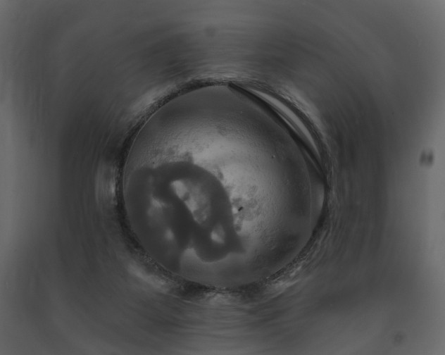 X0000091640115200708231208
