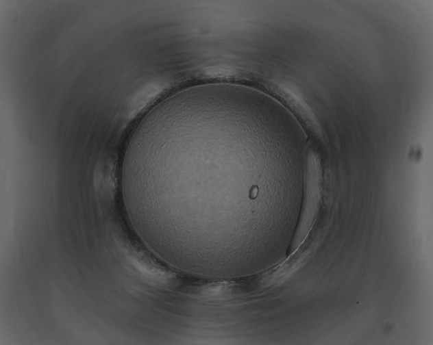 X0000091640116200708231208