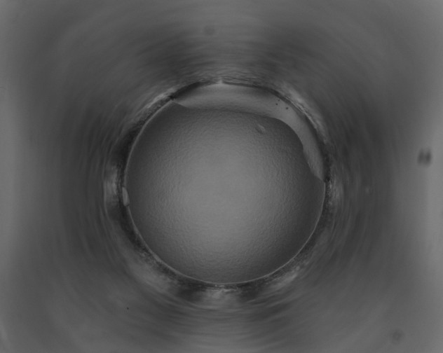 X0000091640117200708231208