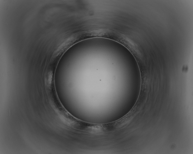 X0000091640118200708231208