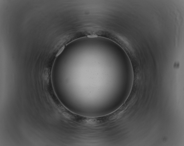 X0000091640121200708231207