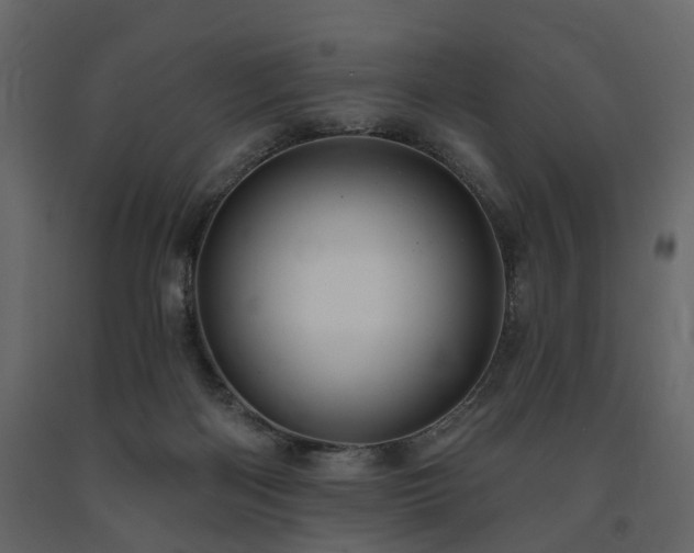 X0000091640122200708231207