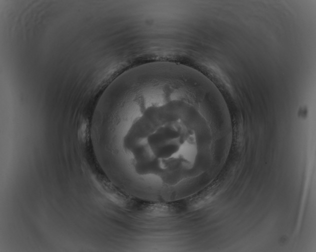 X0000091640123200708231207