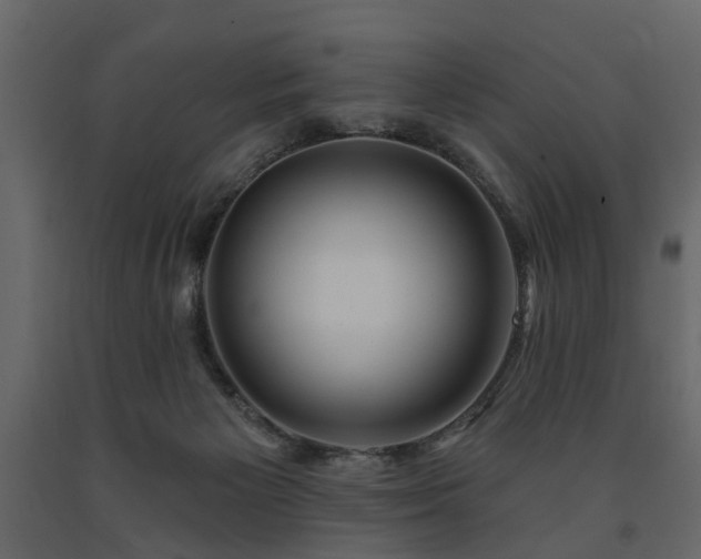 X0000091640125200708231207