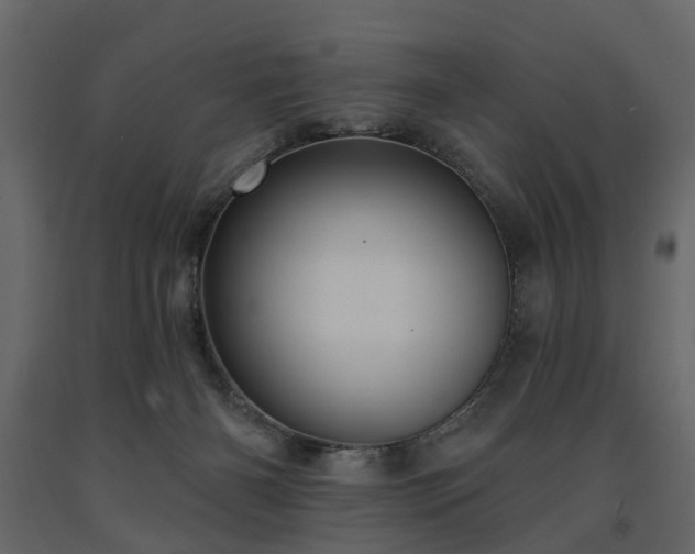 X0000091640126200708231207