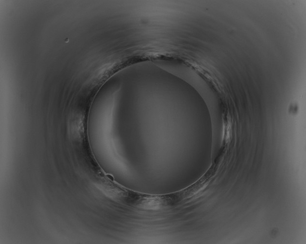 X0000091640127200708231207