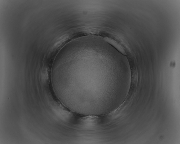 X0000091640128200708231207