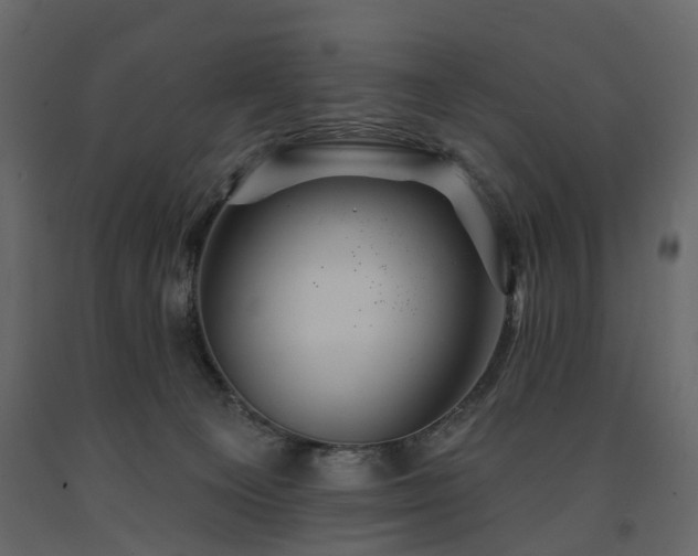 X0000091640129200708231207