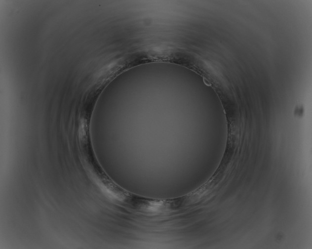X0000091640130200708231207