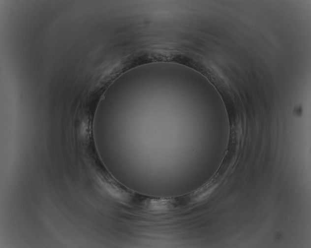 X0000091640134200708231207
