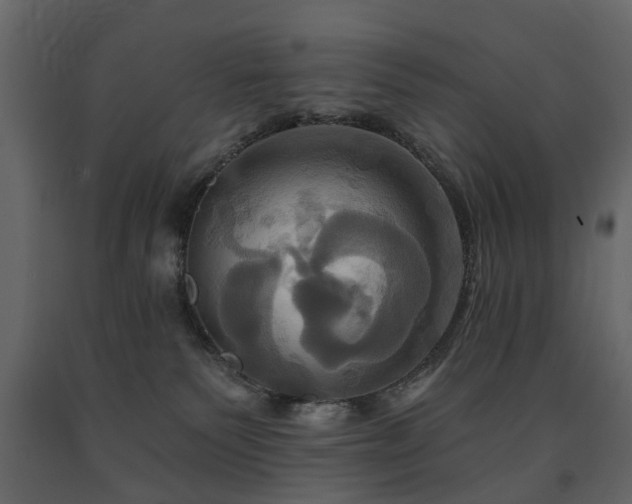X0000091640135200708231207