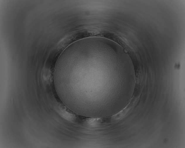X0000091640136200708231207