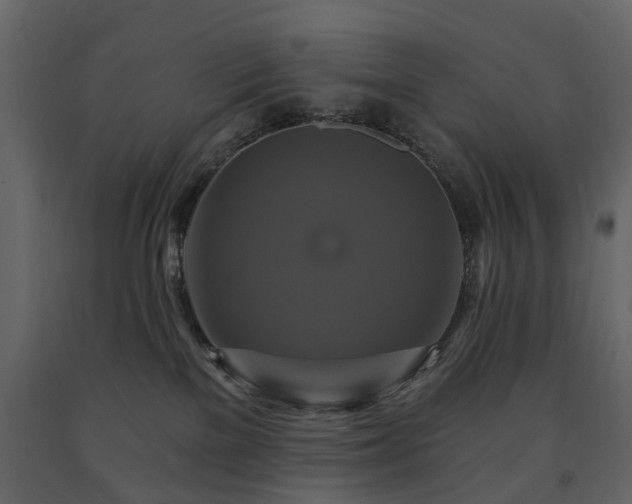 X0000091640137200708231207
