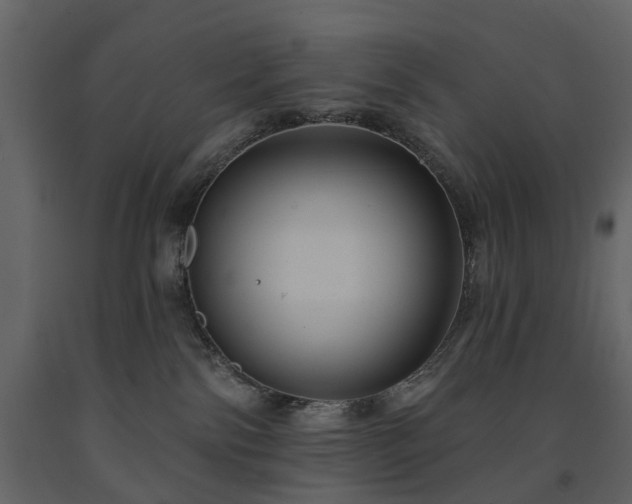 X0000091640138200708231207