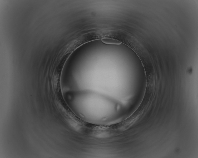 X0000091640139200708231207