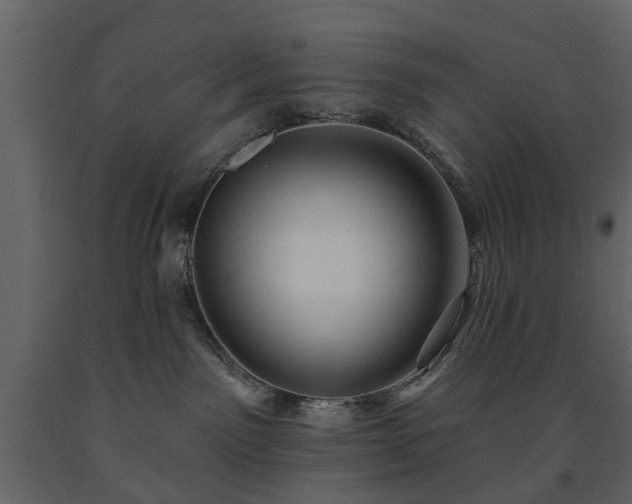 X0000091640141200708231207