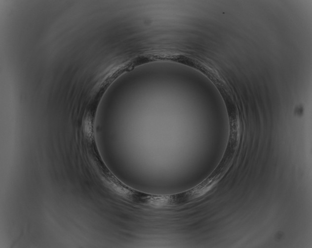 X0000091640143200708231207