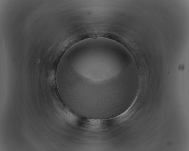 X0000091640144200708231207