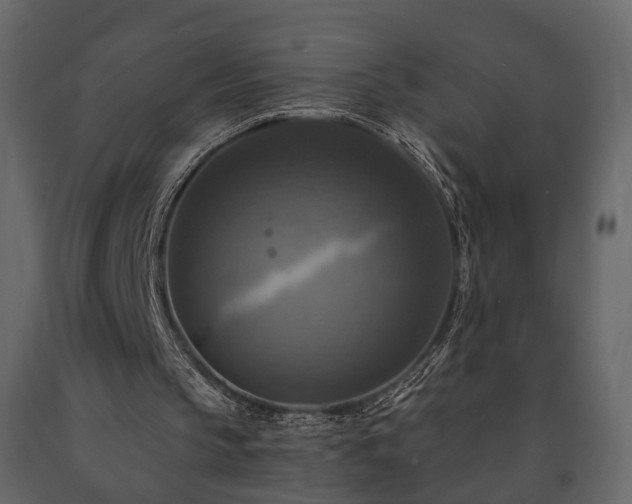 X0000091640145200708231206