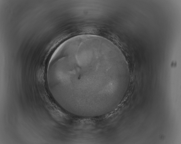 X0000091640146200708231206
