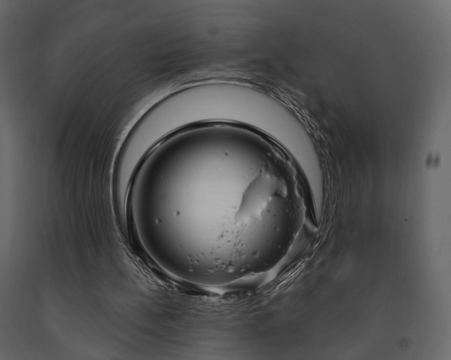 X0000091640148200708231206