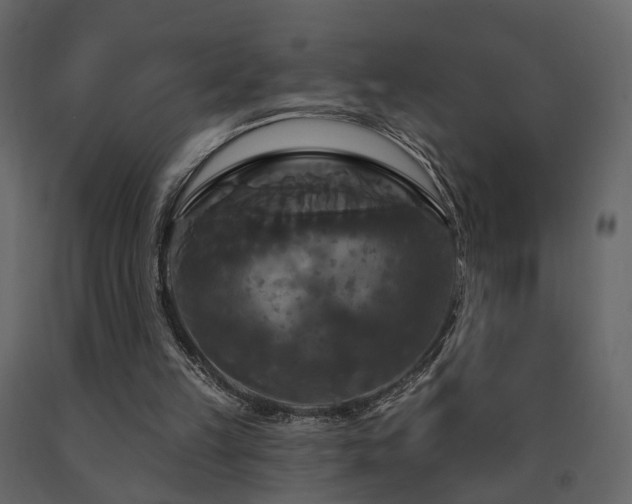 X0000091640149200708231206