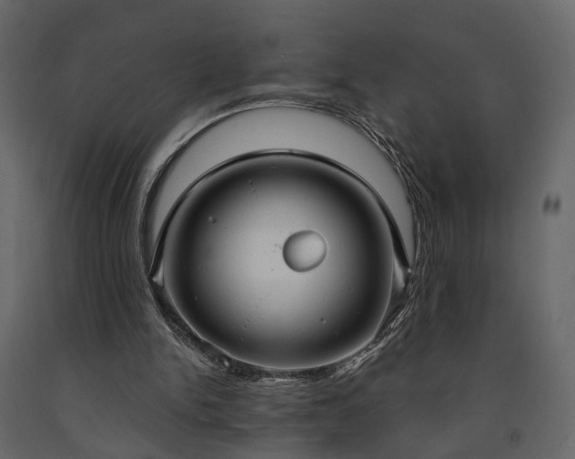 X0000091640150200708231206