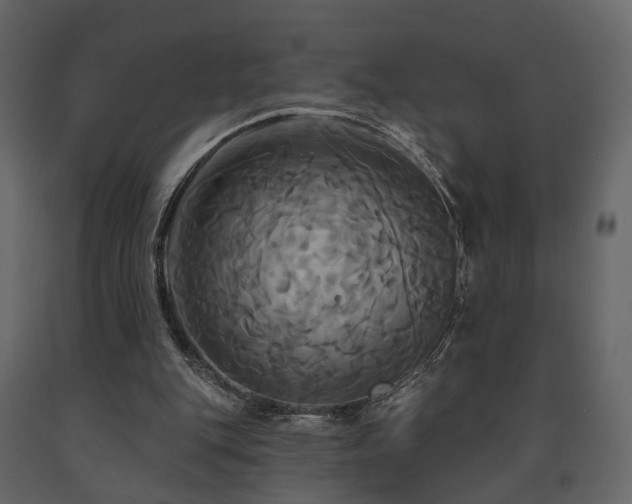 X0000091640151200708231206