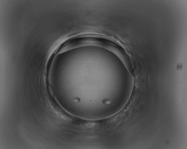 X0000091640152200708231206