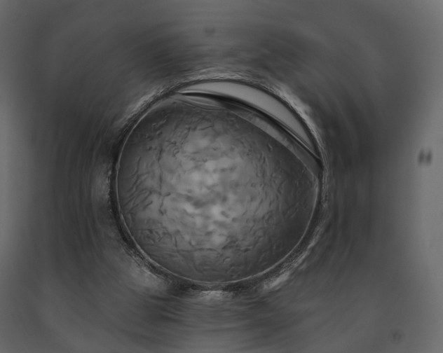 X0000091640153200708231206