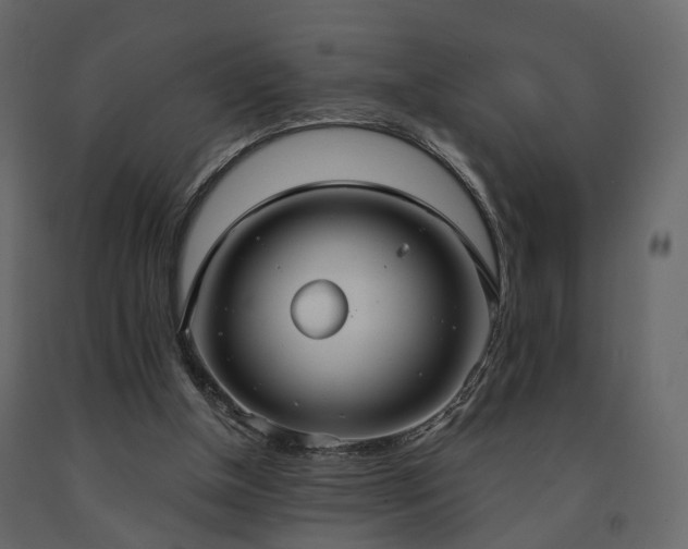 X0000091640154200708231206