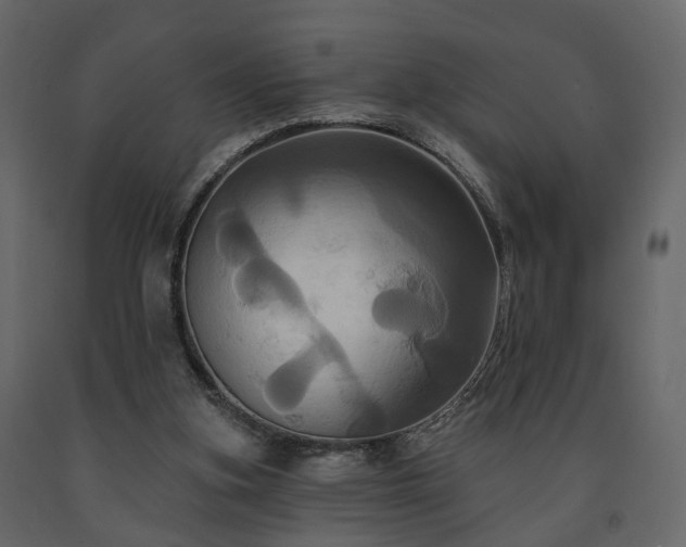 X0000091640155200708231206