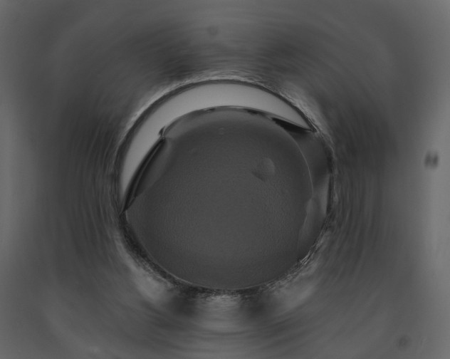 X0000091640156200708231206