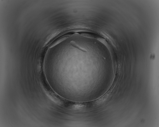 X0000091640158200708231206