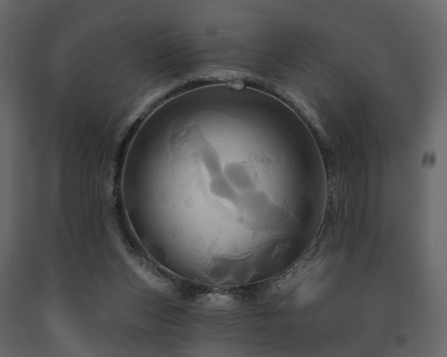X0000091640159200708231207