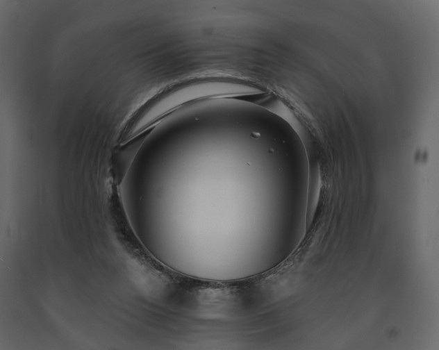 X0000091640160200708231207