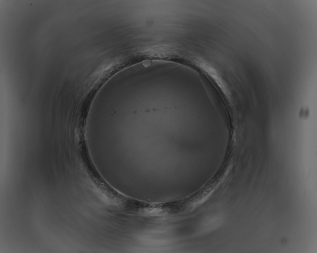 X0000091640161200708231207