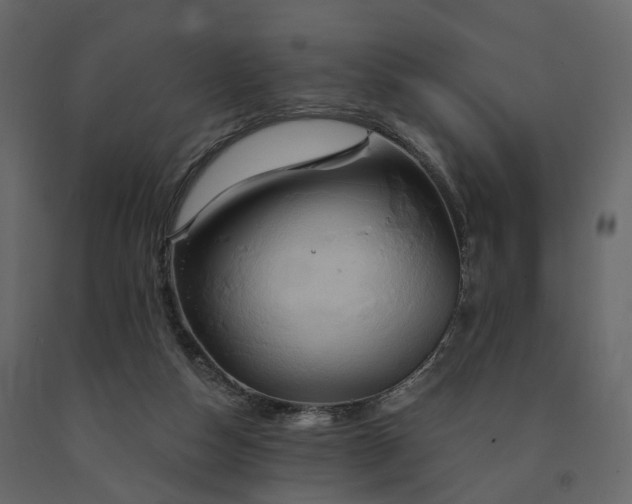 X0000091640162200708231207