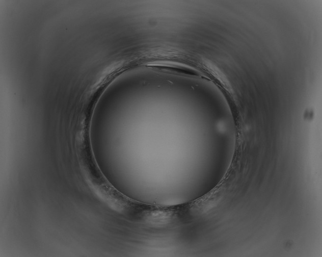 X0000091640163200708231207