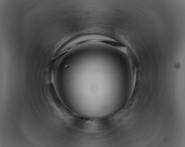 X0000091640164200708231207