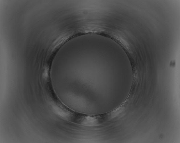 X0000091640166200708231207
